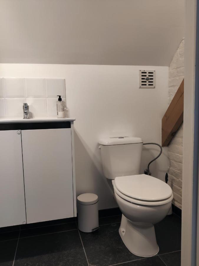 Willa De Lucarne Zottegem Zewnętrze zdjęcie